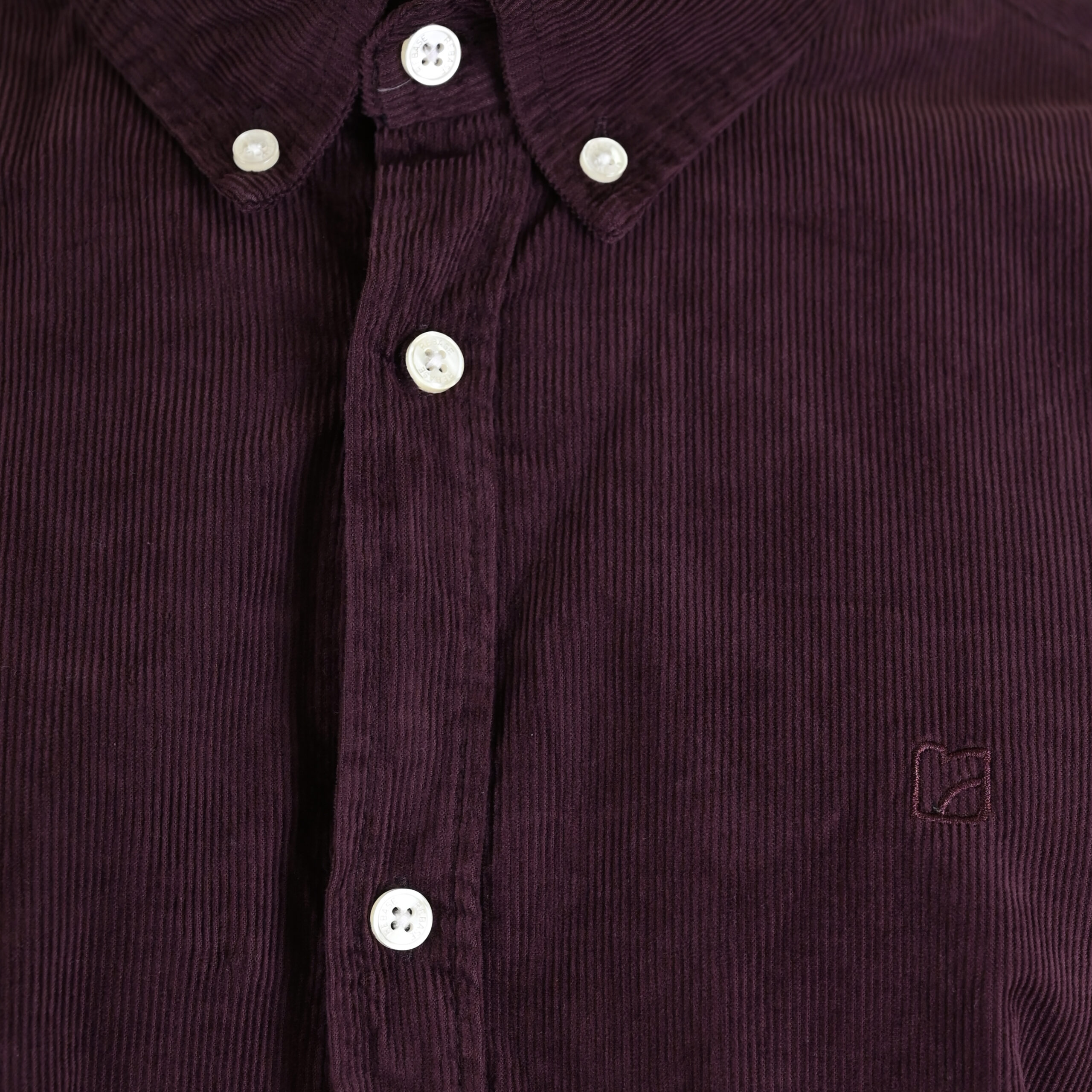 262RGS-5206 SHIRTS WITH DENSE EMBROIDERY (BABY CORDUROY) AUBERGINE - Image 5