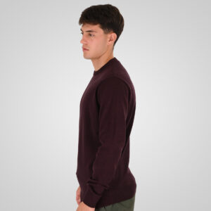 262RKNIT-8050 KNITS CREWNECK WITH DENSE EMBROIDERY BORDEAUX MELANGE - Image 3