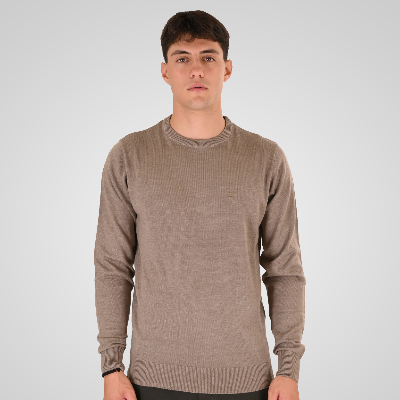 262RKNIT-8050 KNITS CREWNECK WITH DENSE EMBROIDERY MD BEIGE MELANGE - Image 1