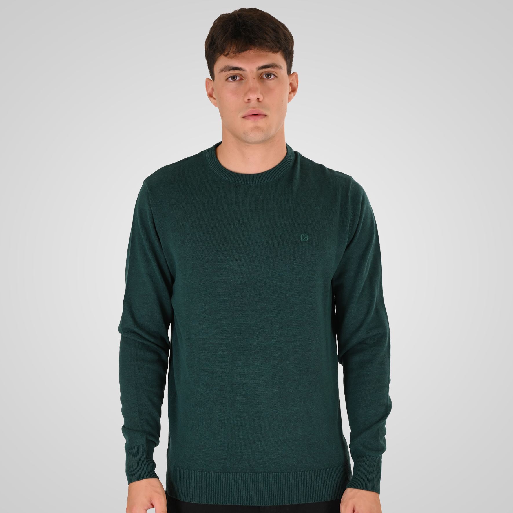 262RKNIT-8050 KNITS CREWNECK WITH DENSE EMBROIDERY PINE MELANGE - Image 1