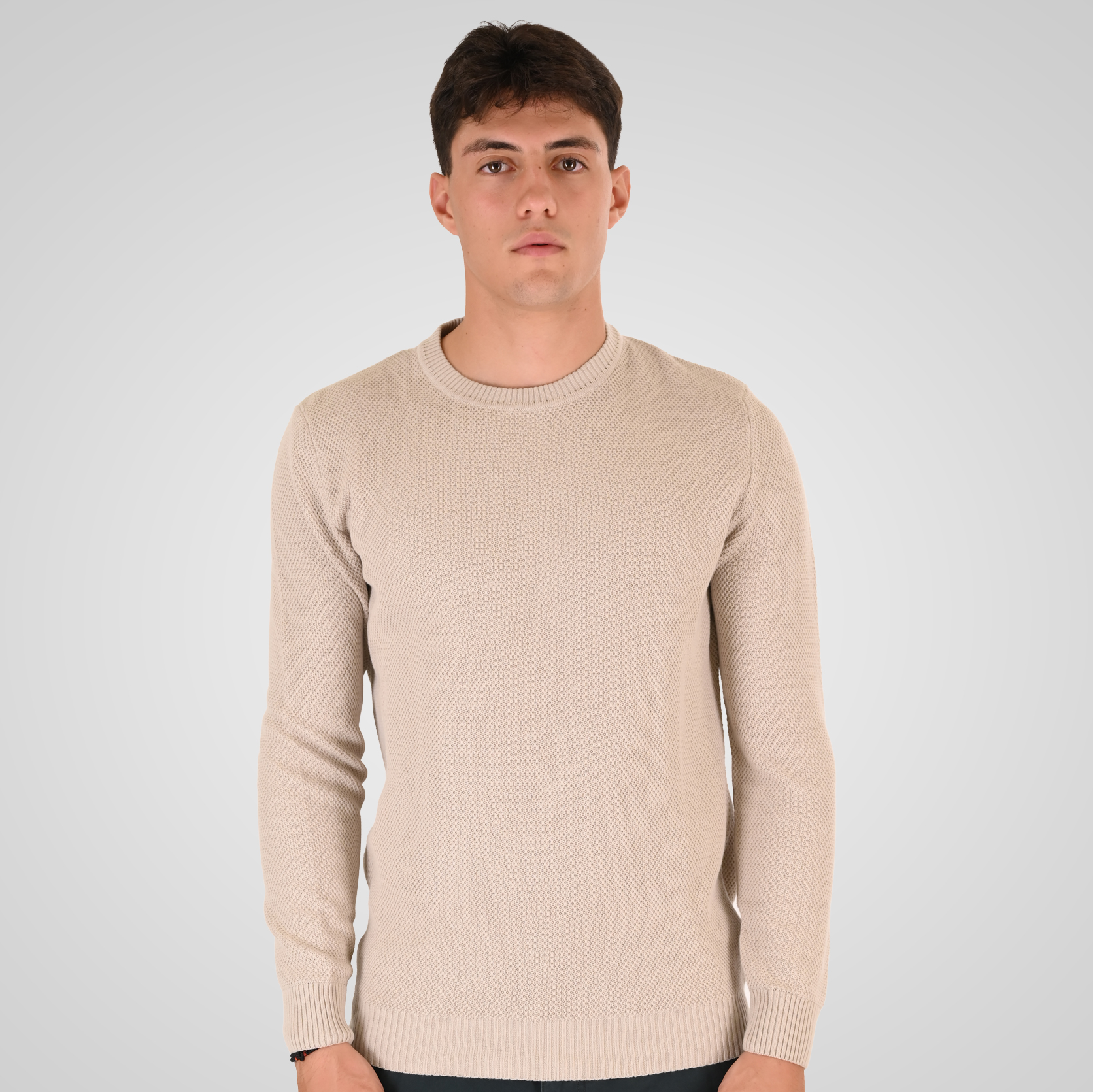262RKNIT-8053 KNITS CREWNECK (SPECIAL KNITTING) ICE - Image 1