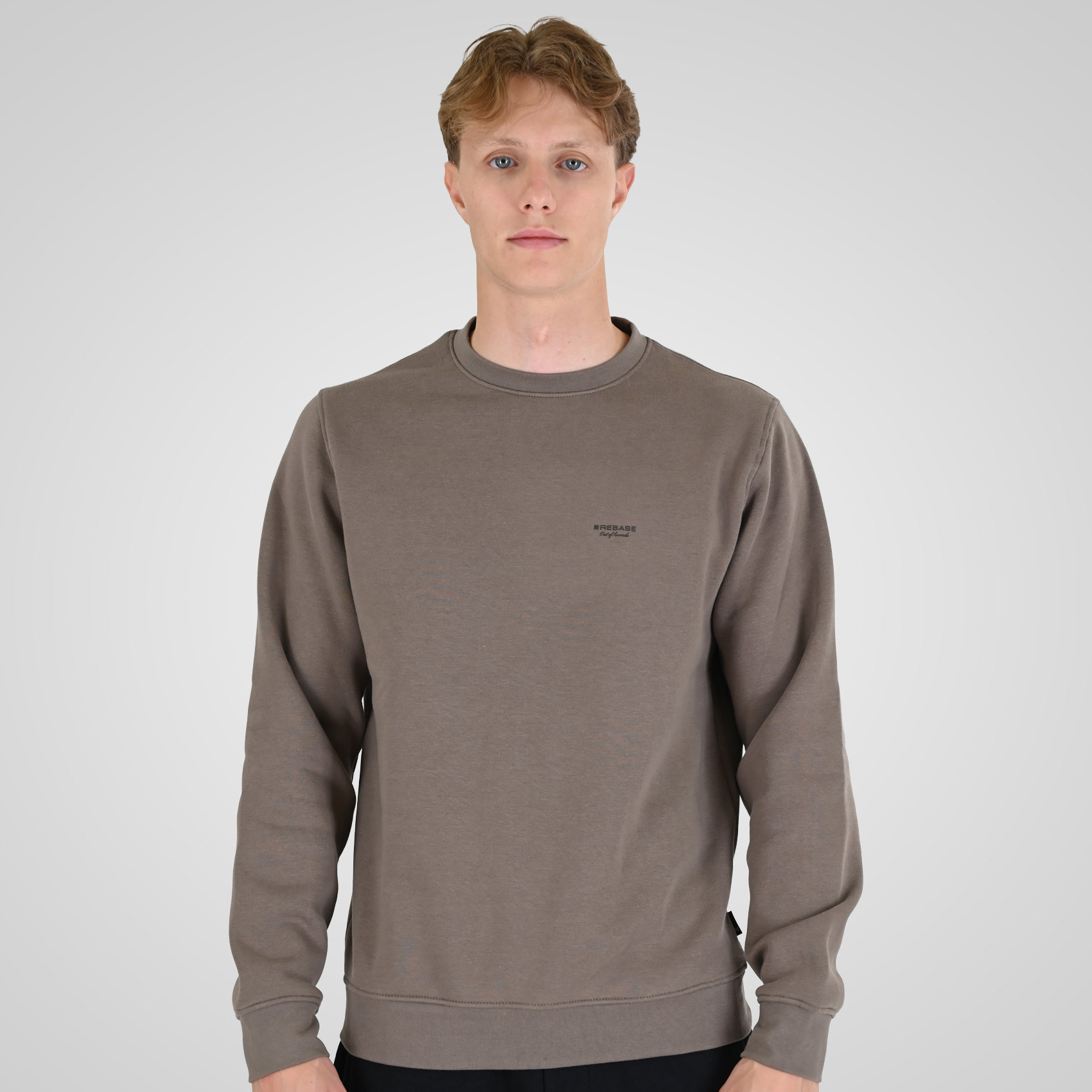 262RTOP-1113 CREWNECK TOP WITH HIGH DENSITY PRINT (BRUSHED FLEECE) TAUPE - Image 1