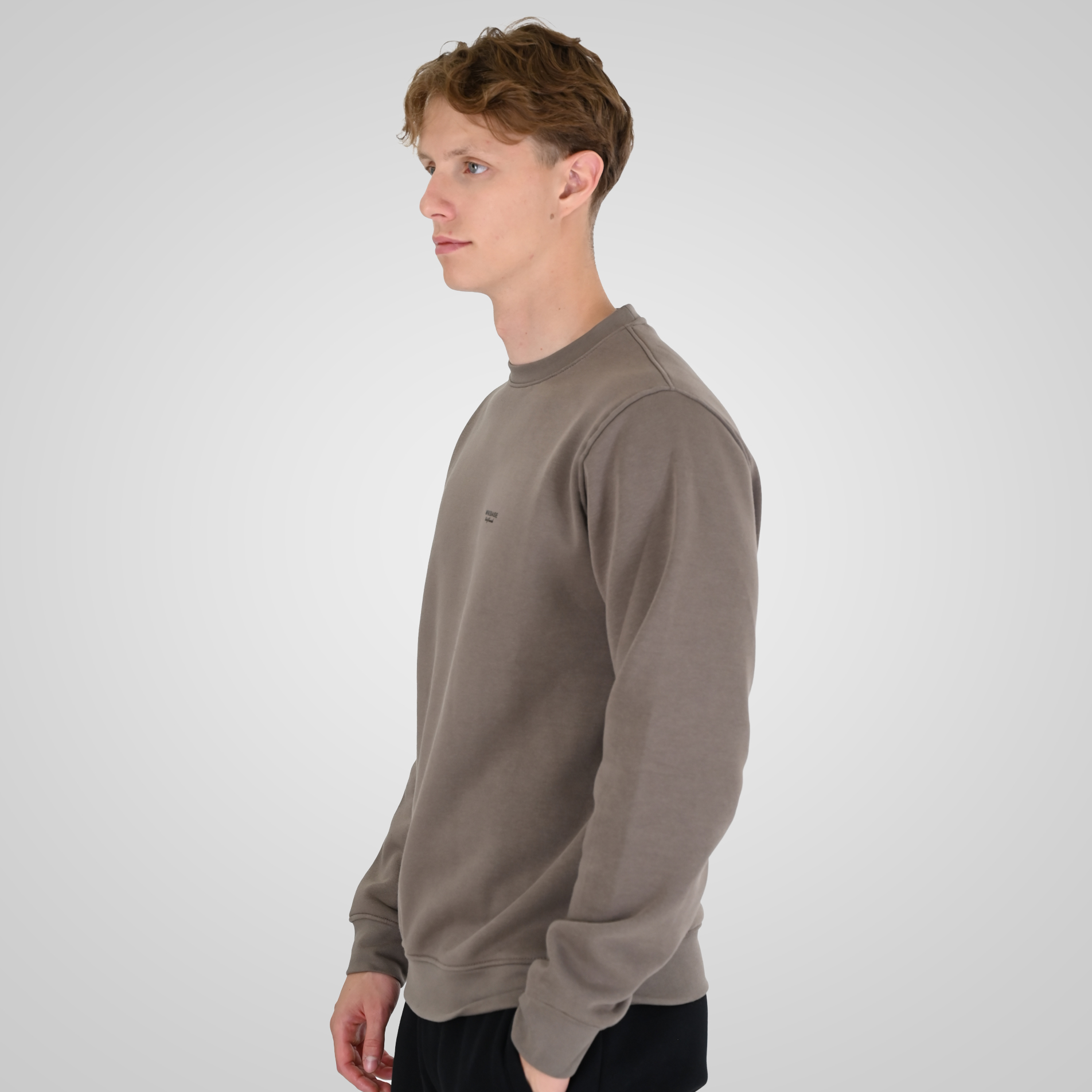 262RTOP-1113 CREWNECK TOP WITH HIGH DENSITY PRINT (BRUSHED FLEECE) TAUPE - Image 3