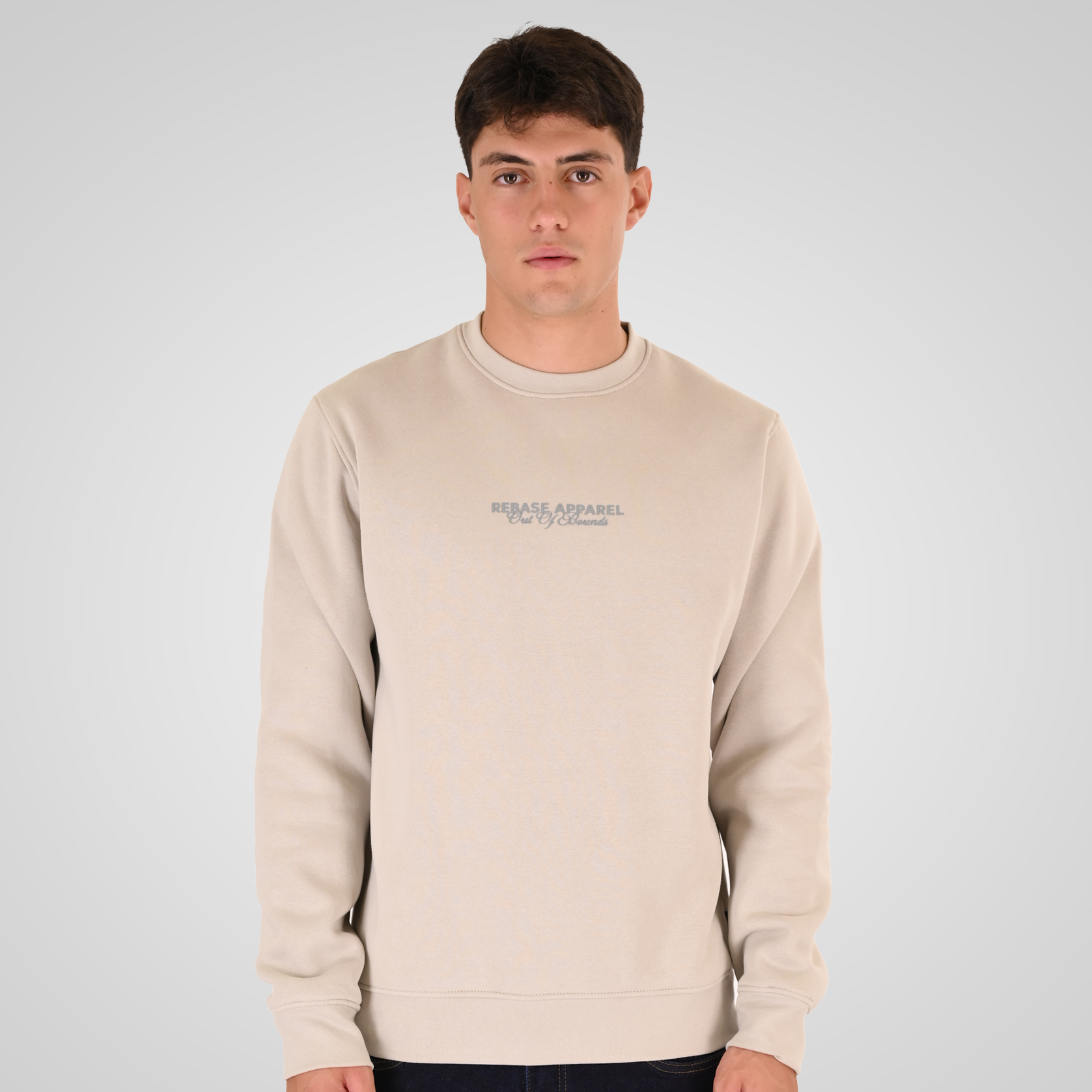 262RTOP-1114 CREWNECK TOP WITH HIGH DENSITY (BRUSHED FLEECE) ICE - Image 1