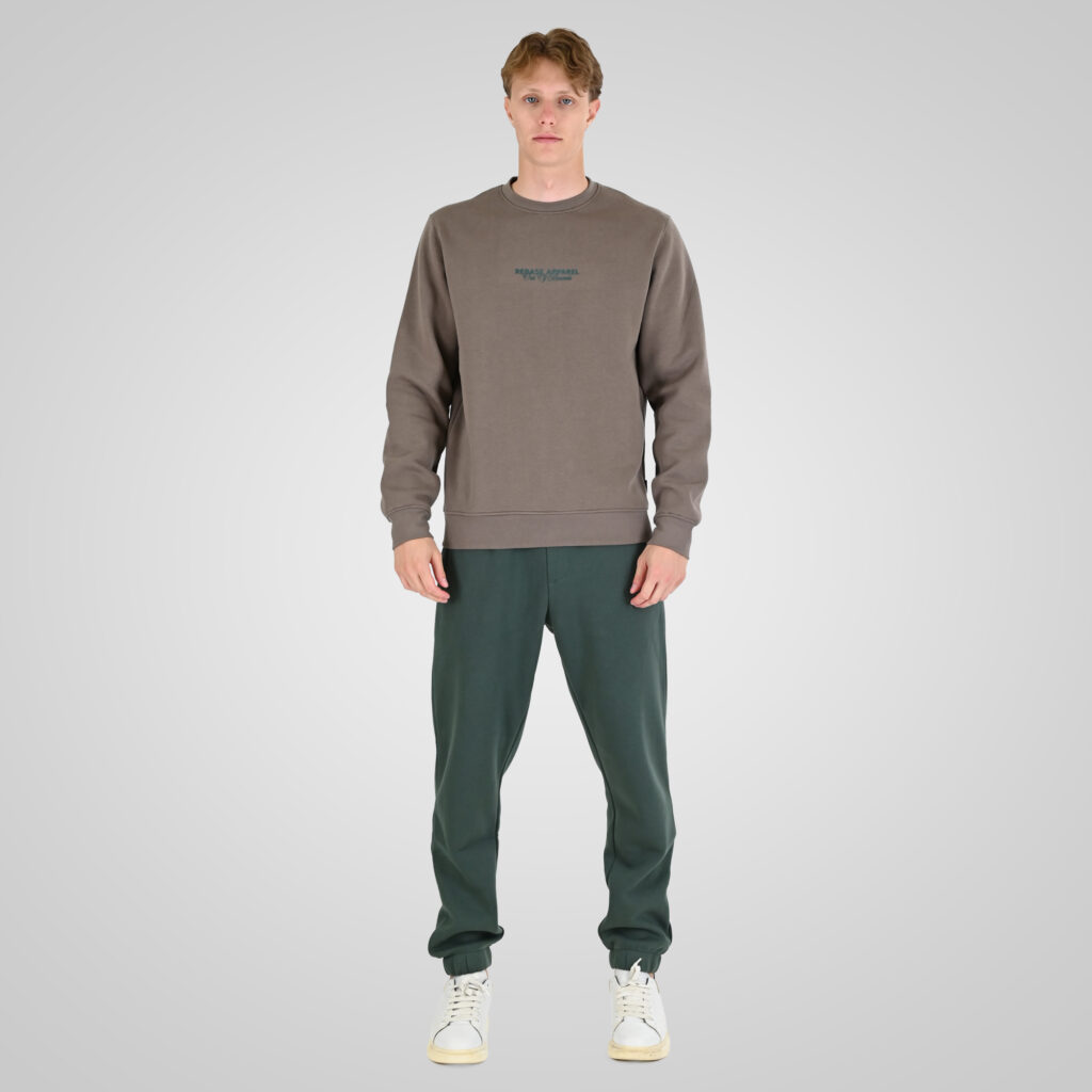 262RTOP-1114 CREWNECK TOP WITH HIGH DENSITY (BRUSHED FLEECE) TAUPE