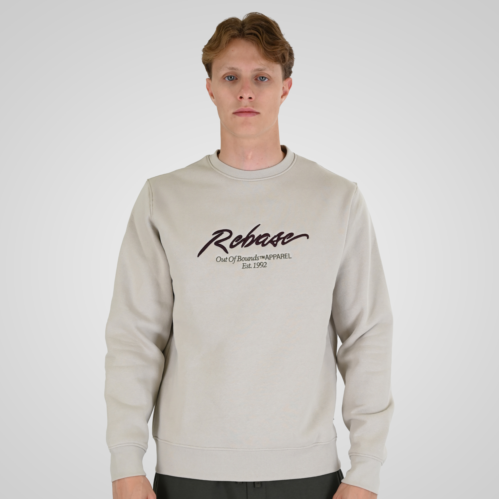 262RTOP-1115 CREWNECK TOP WITH 3D EMBROIDERY AND DENSE EMBROIDERY (BRUSHED FLEECE) ICE - Image 1