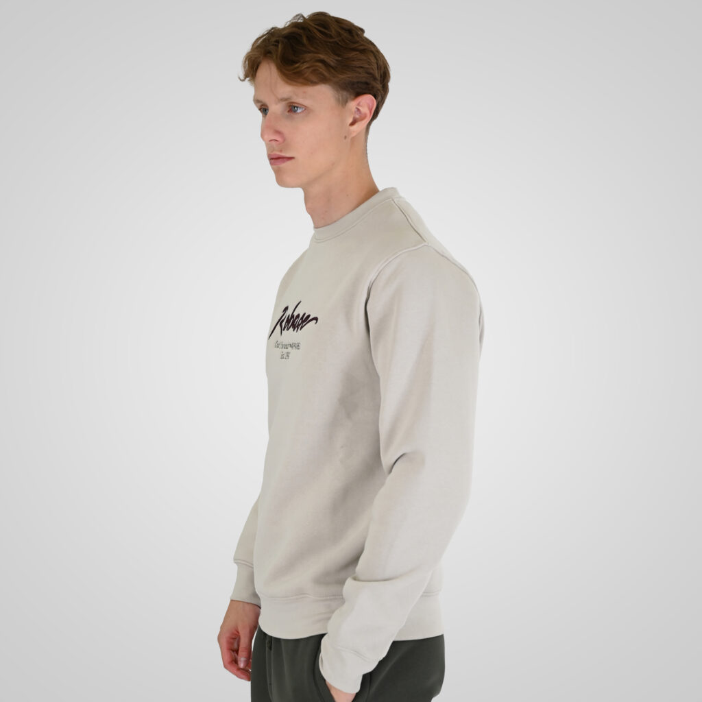 262RTOP-1115 CREWNECK TOP WITH 3D EMBROIDERY AND DENSE EMBROIDERY (BRUSHED FLEECE) ICE
