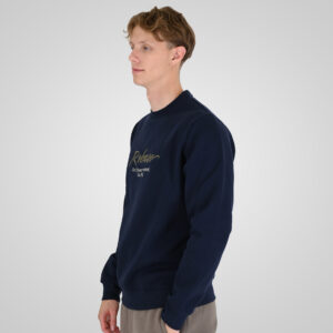262RTOP-1115 CREWNECK TOP WITH 3D EMBROIDERY AND DENSE EMBROIDERY (BRUSHED FLEECE) NAVY - Image 3