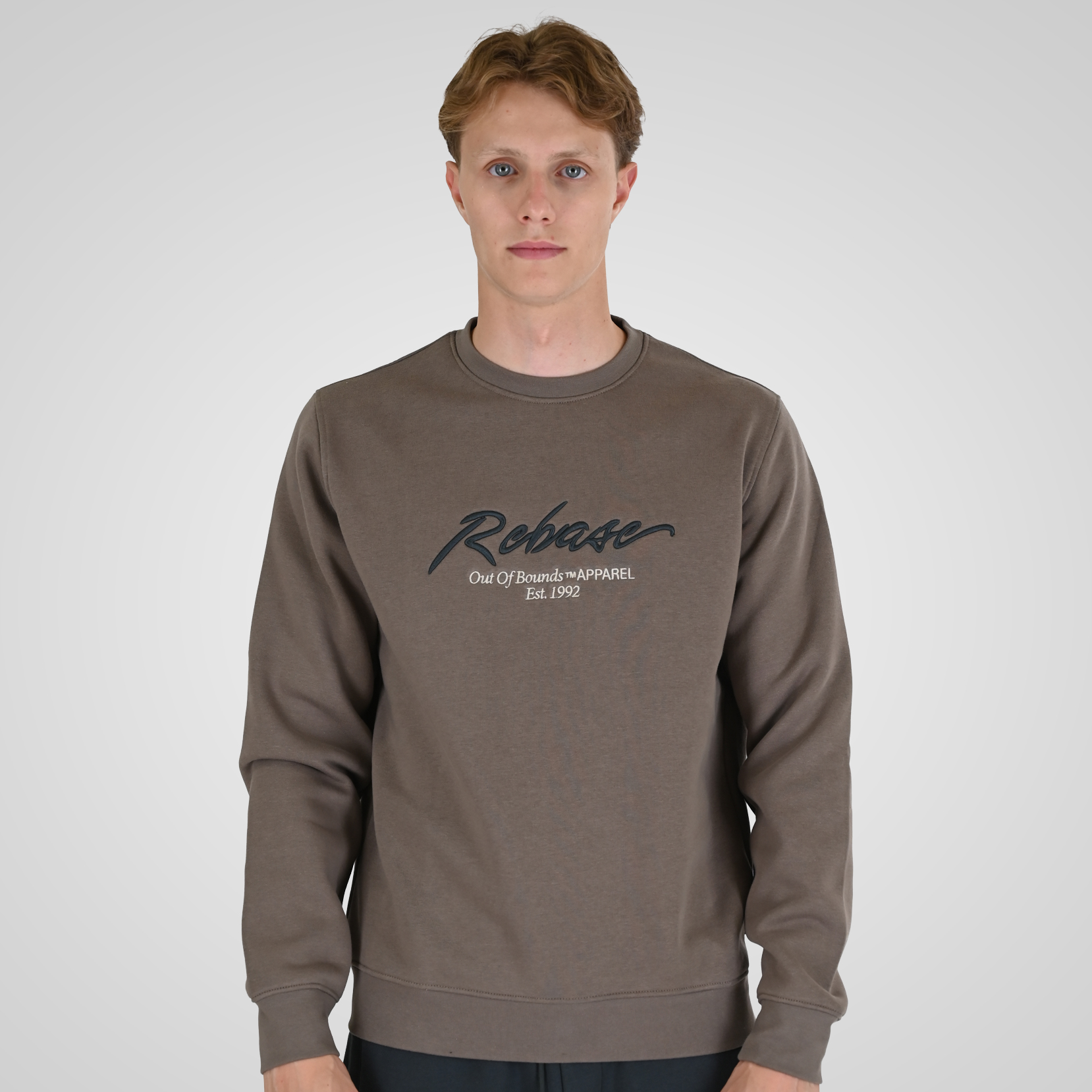 262RTOP-1115 CREWNECK TOP WITH 3D EMBROIDERY AND DENSE EMBROIDERY (BRUSHED FLEECE) TAUPE - Image 1