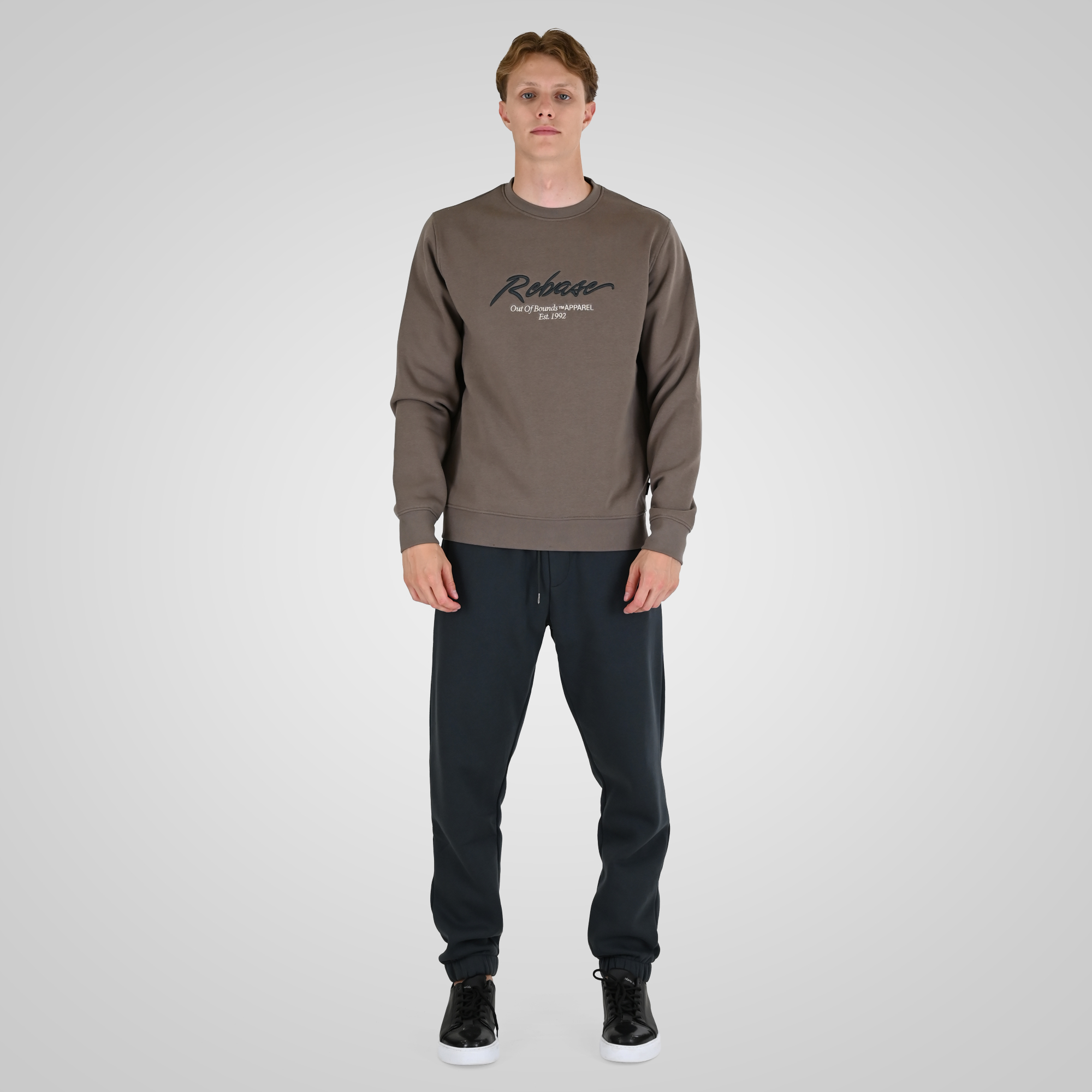 262RTOP-1115 CREWNECK TOP WITH 3D EMBROIDERY AND DENSE EMBROIDERY (BRUSHED FLEECE) TAUPE - Image 2