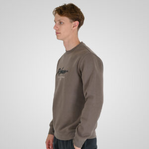 262RTOP-1115 CREWNECK TOP WITH 3D EMBROIDERY AND DENSE EMBROIDERY (BRUSHED FLEECE) TAUPE - Image 3