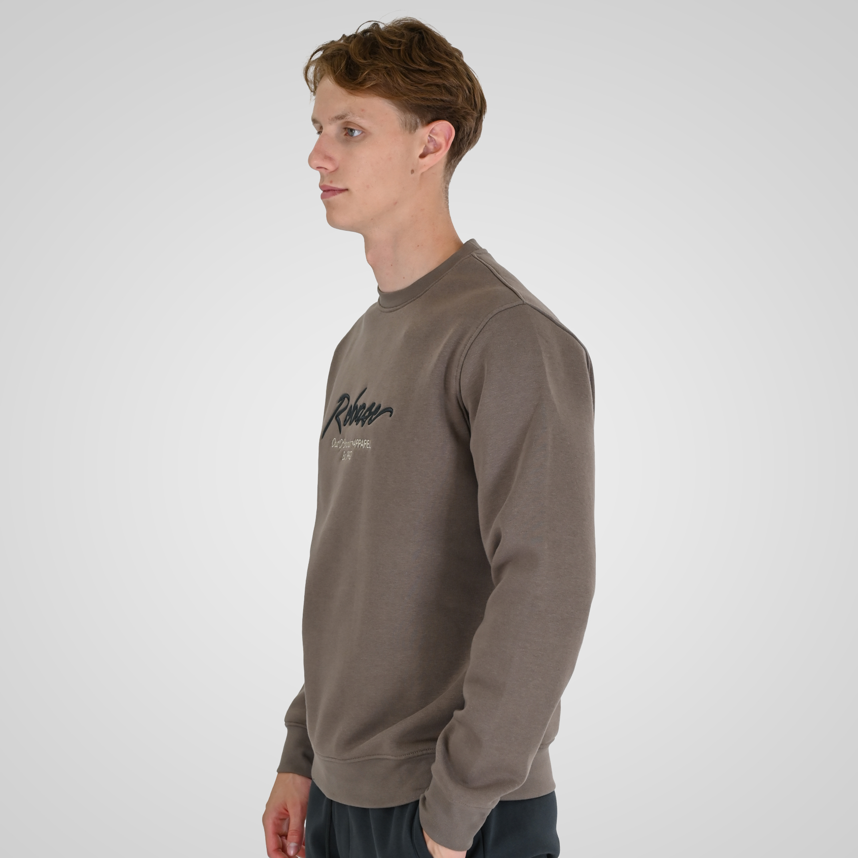 262RTOP-1115 CREWNECK TOP WITH 3D EMBROIDERY AND DENSE EMBROIDERY (BRUSHED FLEECE) TAUPE - Image 3