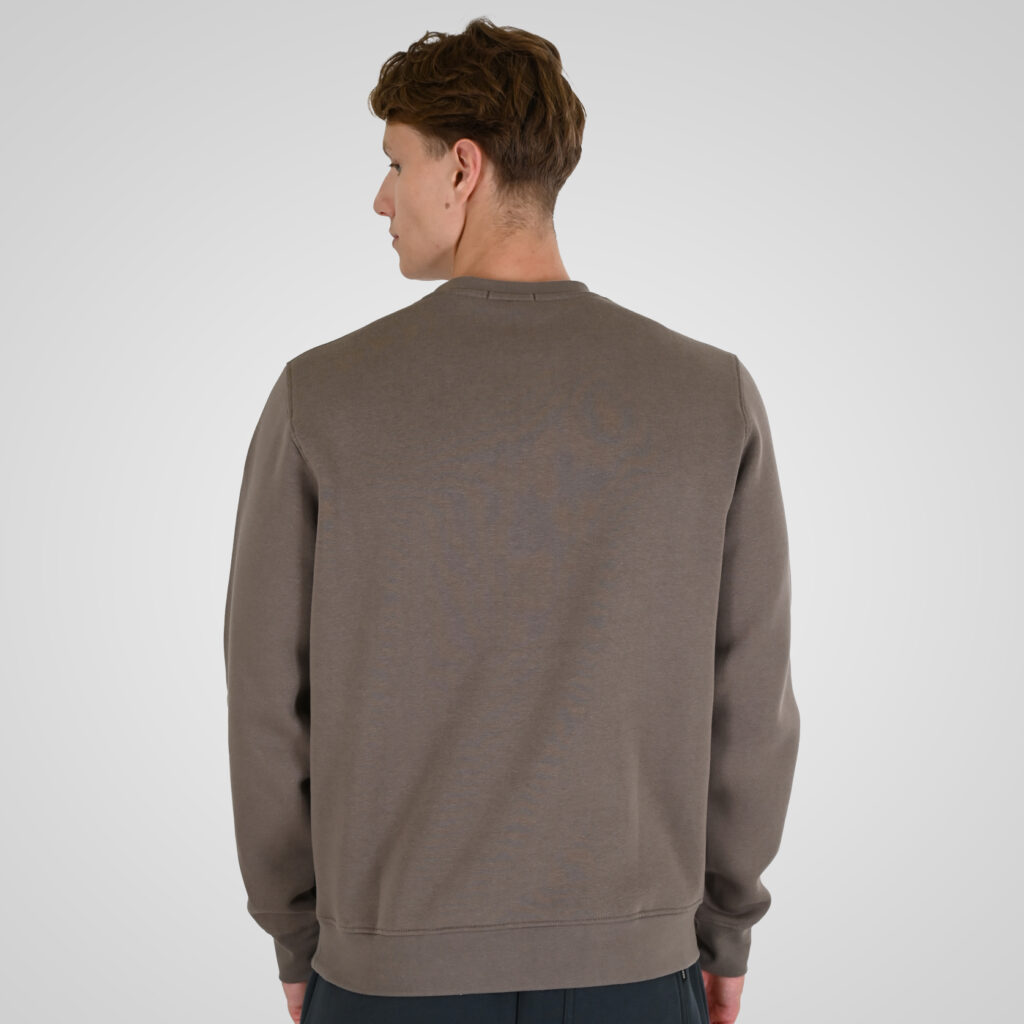 262RTOP-1115 CREWNECK TOP WITH 3D EMBROIDERY AND DENSE EMBROIDERY (BRUSHED FLEECE) TAUPE