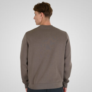 262RTOP-1115 CREWNECK TOP WITH 3D EMBROIDERY AND DENSE EMBROIDERY (BRUSHED FLEECE) TAUPE - Image 4