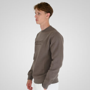 262RTOP-1173 CREWNECK TOP WITH ENGRAVED PRINT (BRUSHED FLEECE) TAUPE - Image 3