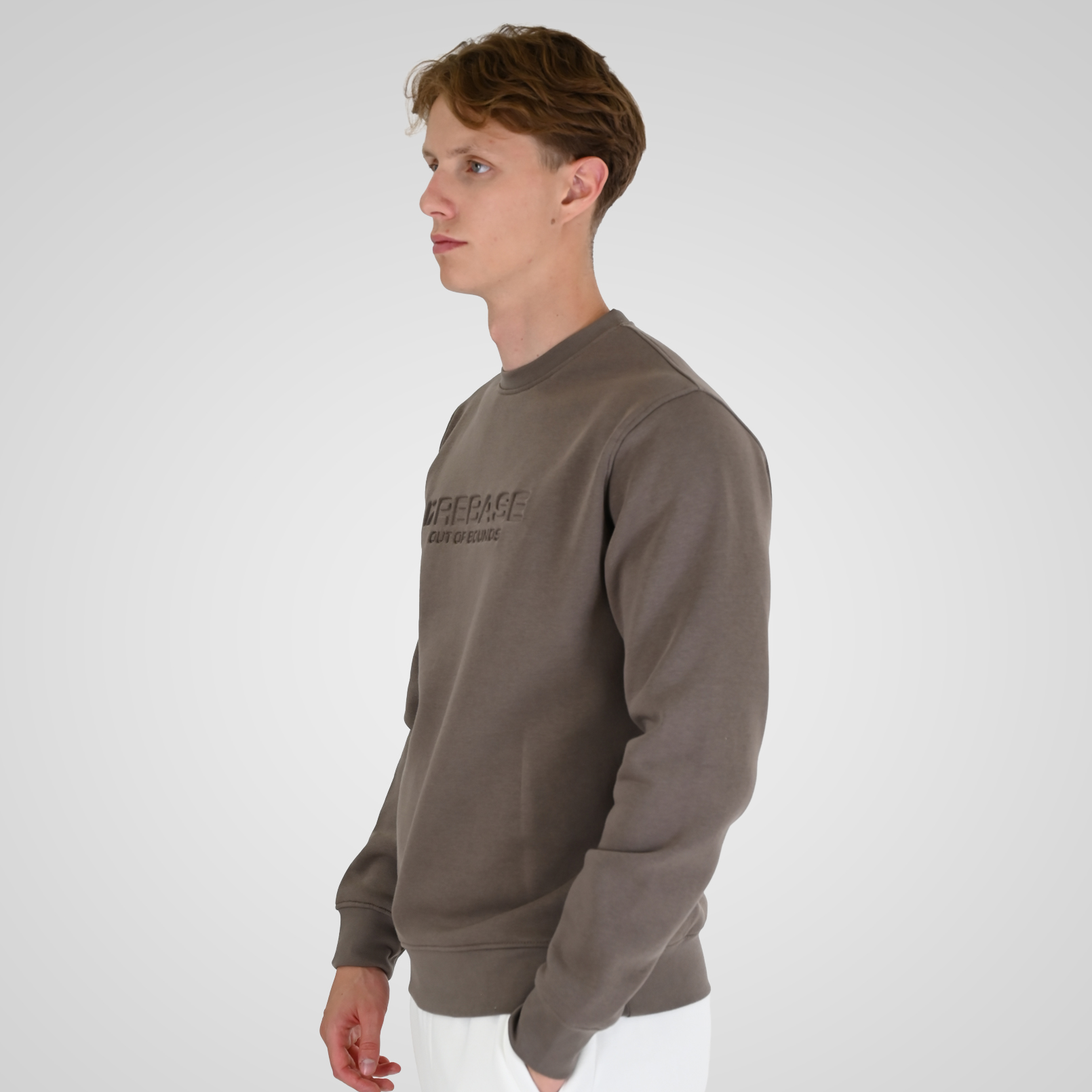 262RTOP-1173 CREWNECK TOP WITH ENGRAVED PRINT (BRUSHED FLEECE) TAUPE - Image 3